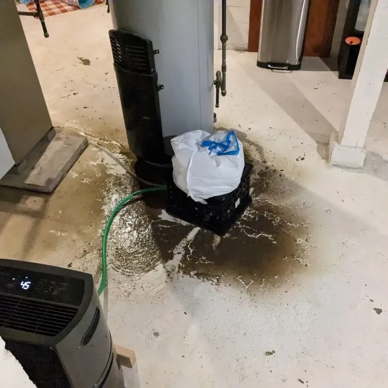 Sewage Backup Cleanup Service in Oakdale, LA